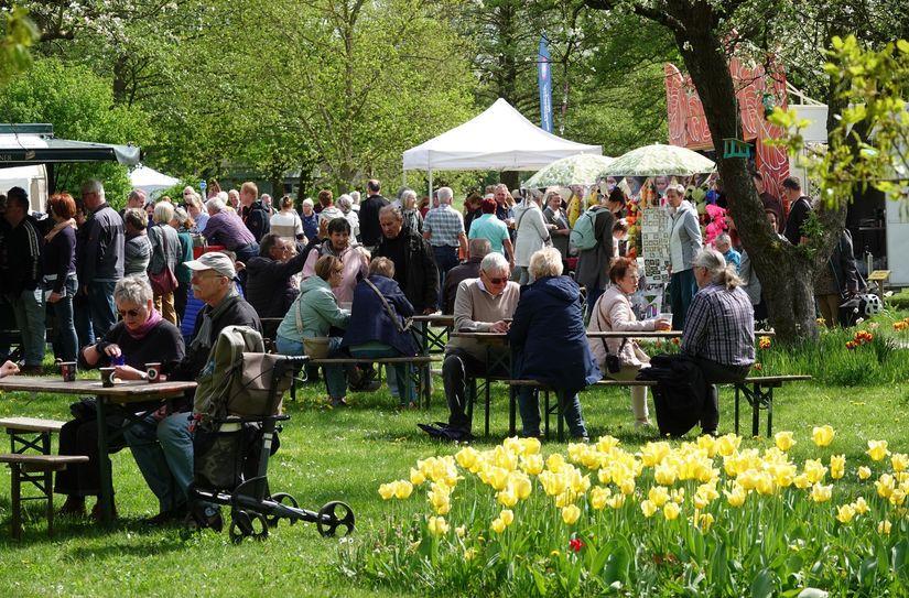 Das Tulpenfest im LAGA-Park zieht jährlich zahlreiche Besucher an.