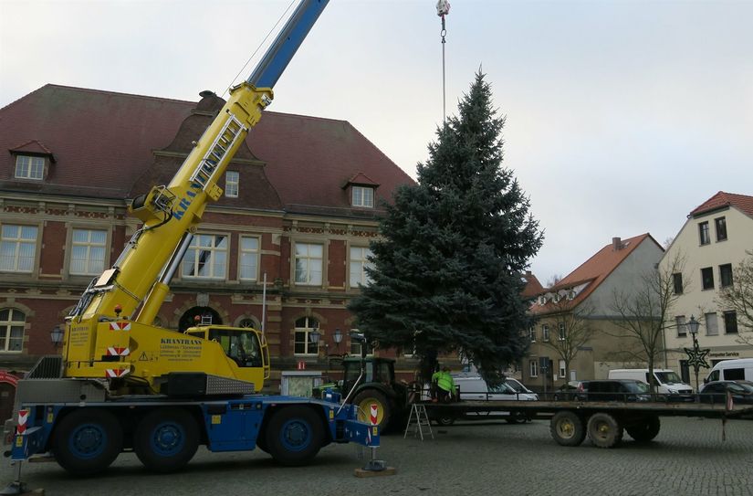 Der letzte Weihnachtsbaum auf dem Marktplatz wurde am 24. November 2021 aufgestellt.
