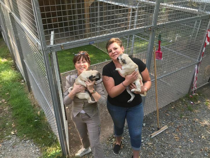 Regina Barthel-Marr (li.) mit Tierheimleiterin Anja Witzmann sowie zwei der vier vom Lübecker nicht abgeholten Möpse. Foto: meeco