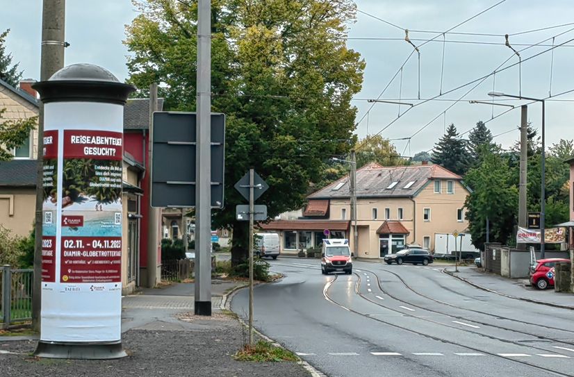Auch dieser große Baum müsste fallen, weil Kurve begradigt wird, Fußwege breiter werden.