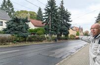 .. auch auf der gegenüberliegenden Straßenseite das gleiche Bild - díe Bäume sollen weg.
