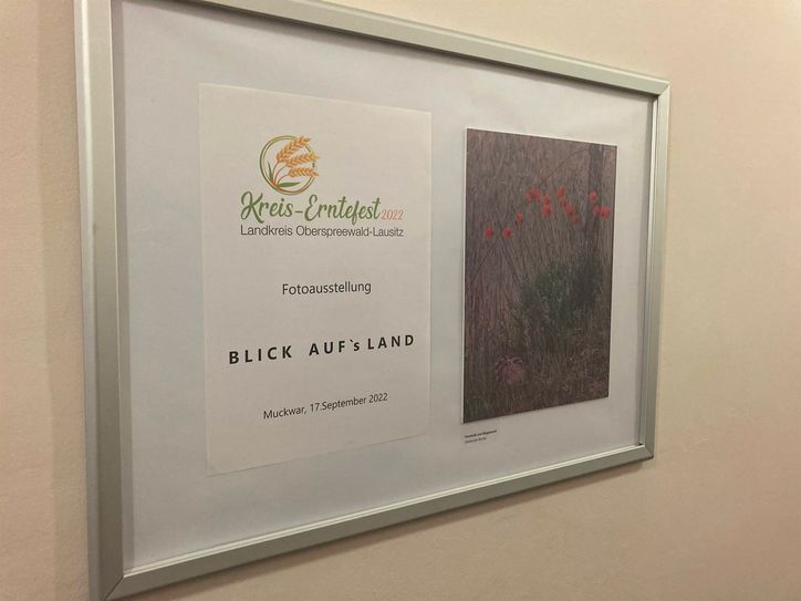 Die Fotoausstellung mit den 25 schönsten Bildern aus dem Fotowettbewerb zum 1. Kreis-Erntefest des Landkreises lädt zu zahlreichen schönen Blicken aufs Land in das Kreishaus in Calau ein.