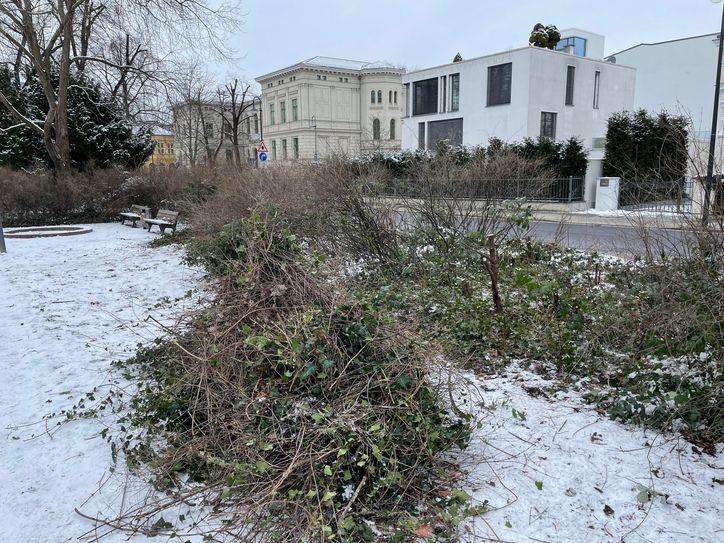 Gehölzpflege im Park an der Puschkinpromenade.