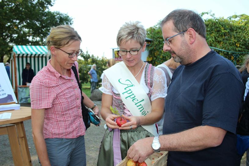 Viel zu tun gab es am letzten Sonntag besonders für Äppelmmoid und Apfelkönigin Jana Reichel.