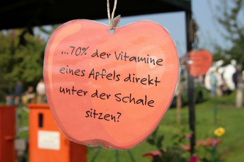 Kleine Weisheit der Schau- und Lehrgärtner. Fotos: wit