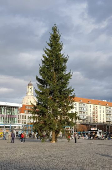 Fotos: Büttner