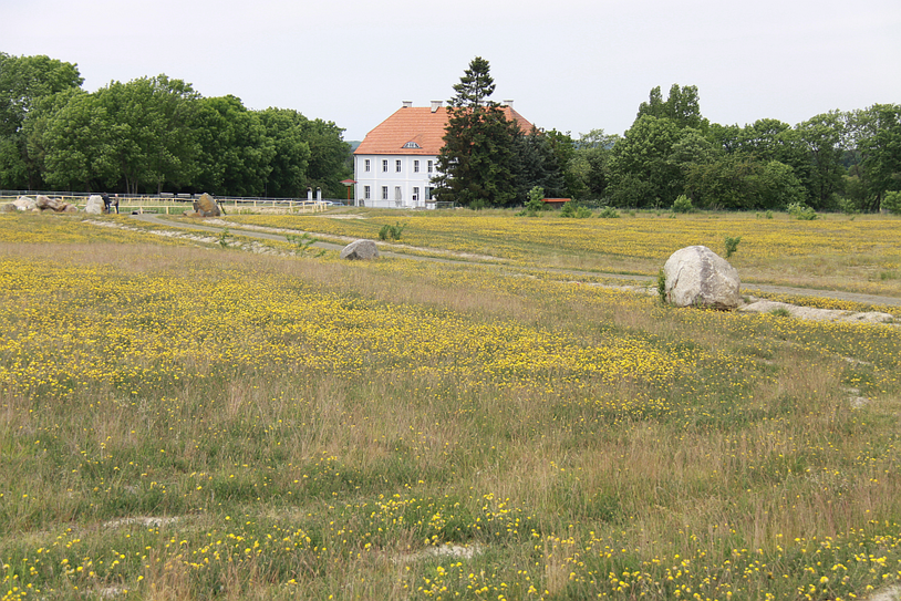 Geisendorf: Gut Geisendorf vom Geisendorfer Berg aus gesehen. Fotos: LEAG