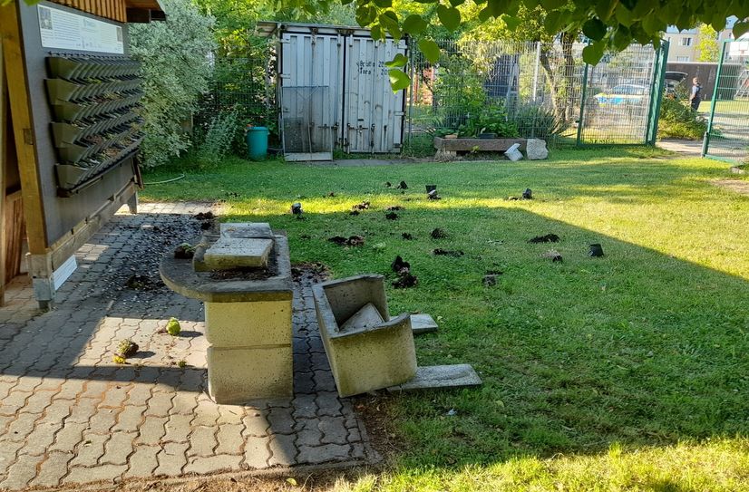 Der Grill wurde umgeworfen, ist dadurch ebenfalls hinüber. Die Pflanzen an der begrünten Wand im Hintergrund wurden ebenso herausgerissen wie die im Gewächshaus.