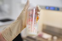 Muttermilch ist nach wissenschaftlichen Erkenntnissen grundsätzlich die gesündeste Ernährung für Neugeborene und kleine Säuglinge.