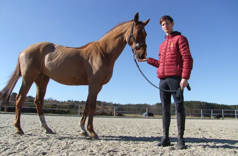 Der 23-jährige Marvin Jüngel mit seiner Erfolgsstute »Balou‘s Erbin«. Seit 2017 sind die beiden ein Team, seit dieser Zeit reitet der Kamenzer die Stute.