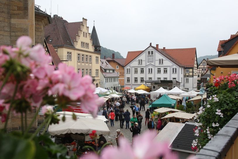 Am Sonntag findet der Naturmarkt in Stadt Wehlen statt. Foto: Daniel Förster