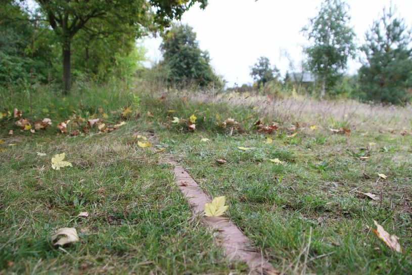 Die Natur hat sich den einst befestigten Sportplatz »zurückgeholt«. Nur vereinzelt sind noch Reste der Flächenbegrenzungen zu finden.  Fotos: Farrar