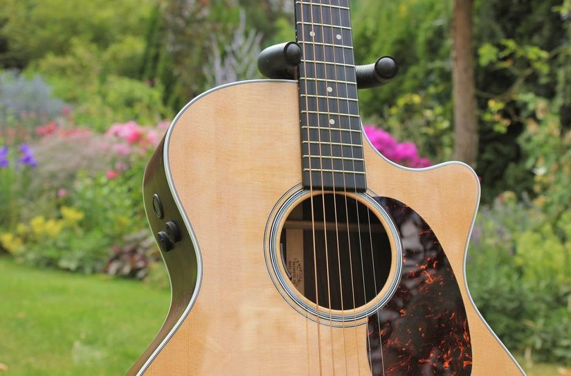 Gitarrenklänge sind Freitag im Dahliengarten Zaue zu hören.