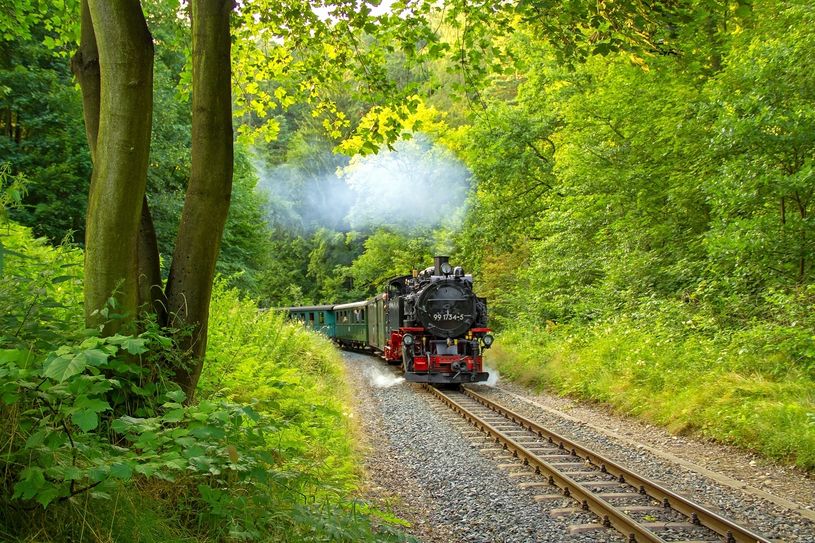 Weißeritztalbahn, hier im Rabenauer Grund  Foto: Kati Schmidt
