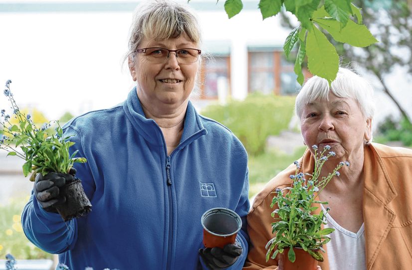 Im vergangenen Jahr haben sich die Bewohner des SeniorenHauses »Albert Schweitzer« in Riesa über die Blumenspende gefreut.