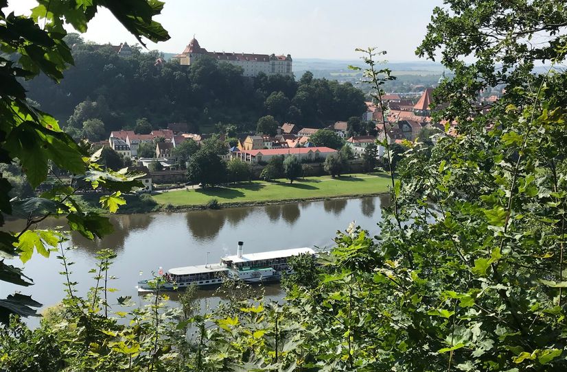 Entlang des Sächsischen Weinwanderweges mit Blick auf Pirna.