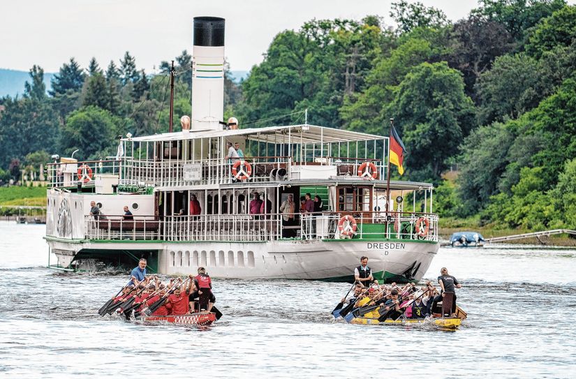 Auch 2025 wird die Elbe wieder zum Schauplatz für spannende Drachenboot-Rennen.