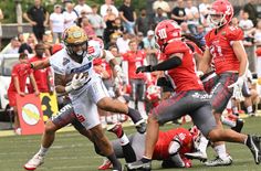Die Dresden Monarchs wurden Mannschaft des Jahres.