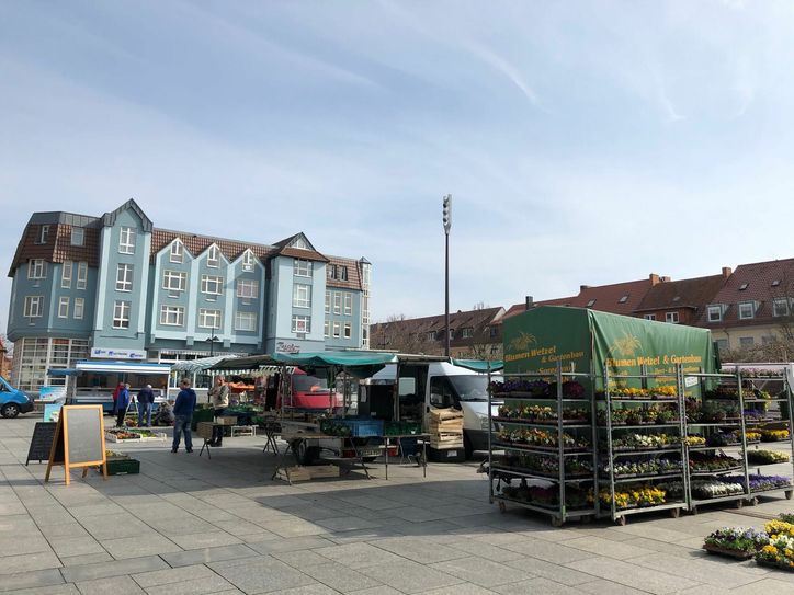 Blick auf den Lübbener Grünen Wochenmarkt am Donnerstag. Foto: Stadt Lübben/Dörthe Ziemer