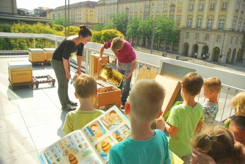 Für Kinder gibt es in der Zentralbibliothek rund 30 Bücher, die sich mit dem Thema Bienen befassen. Fotos: Schiller
