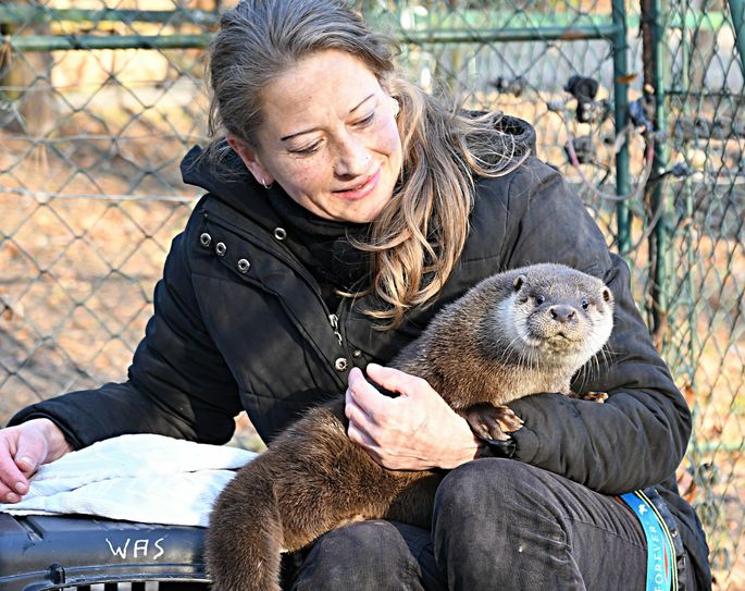 Emma mit Ziehmutter Manuela Kleemann. Foto: www.zoo-goerlitz.de, C. Hammer
