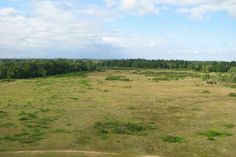 Blick auf die Kleinraschützer Heide.