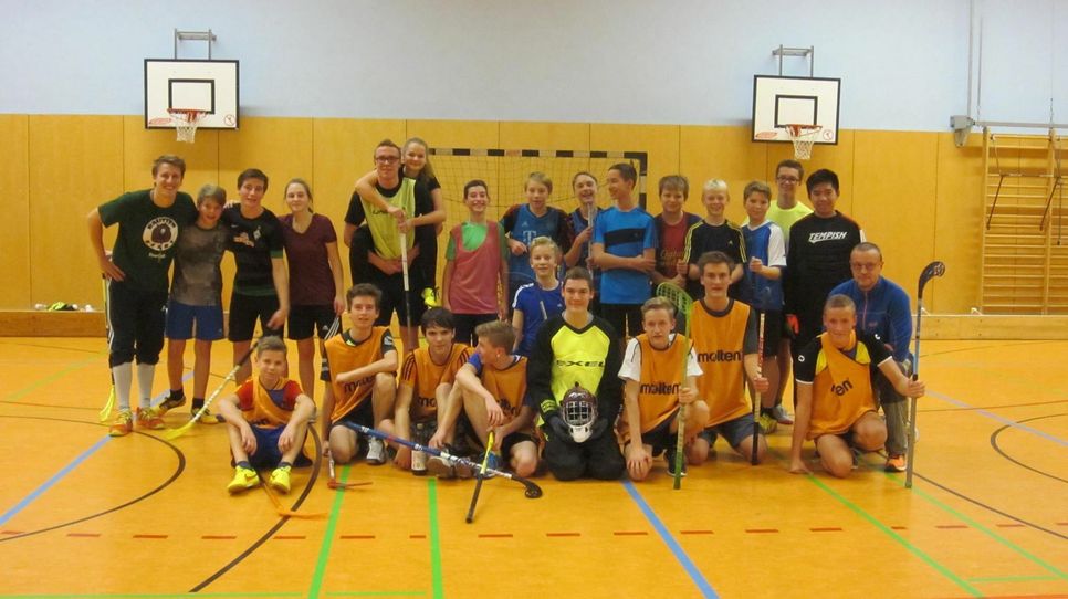Die Bautzener Bären suchen noch weitere Mitspieler und Unterstützer. Fotos: Verein