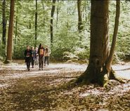 Vier Stunden spazieren gehen durch den Wald an der Waldhufe in Doberlug-Kirchhain.