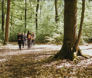 Vier Stunden spazieren gehen durch den Wald an der Waldhufe in Doberlug-Kirchhain.