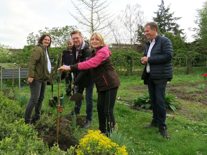 Gartenleiterin Almut Dietze, Gärtnermeister Marcel Soblik, Sparkassen-Filialleiter, Martin Mattschull, Nancy Neumann vom Dresdner Heidebogen e.V. und Frank Hasse vom Taubblindendienst e.V. beim Pflanzen der Baumsetzlinge im Botanischen Blindengarten Radeberg (v.l.n.r). Foto: Matthias Stark