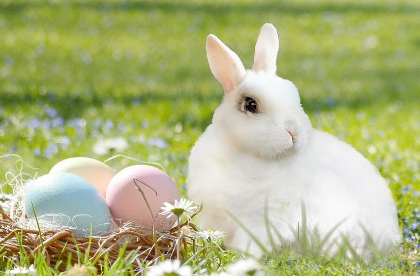 Der Osterhase freut sich auf viele große und kleine Besucher.