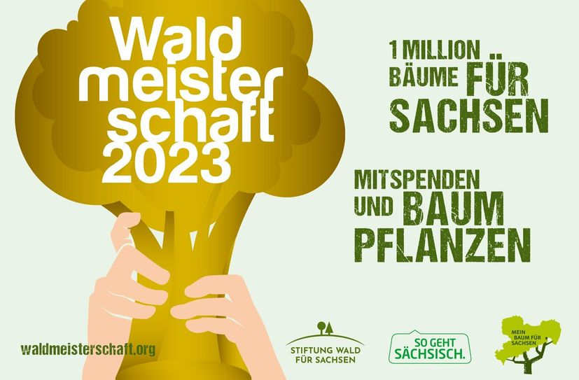 Die Waldmeisterschaft 2023 startet voll durch.