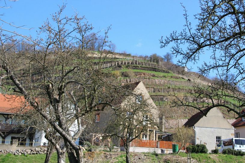Weinfest in Diesbar-Seußlitz. Foto: Farrar