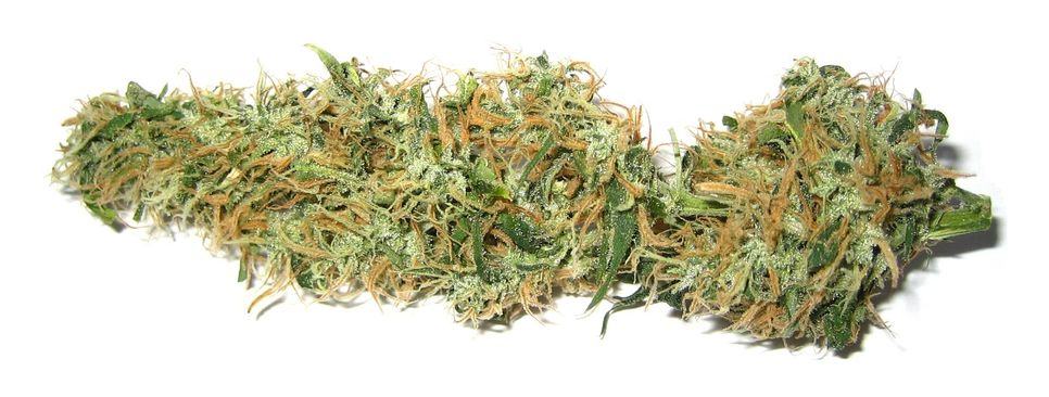 Symbolfoto: Marihuana. Foto: FF
