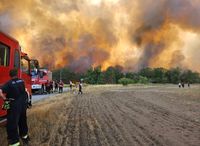 Das Feuer erreicht vielerorts den Waldrand. Landwirte haben die Äcker umgegraben, um eine Schneise zu schlagen und die Ausbreitung zu unterbrechen.