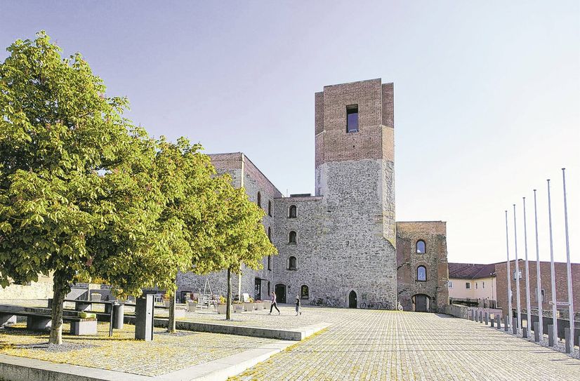 Großenhain sucht neue Bergfriedwärter, die gerne hoch hinaus wollen.