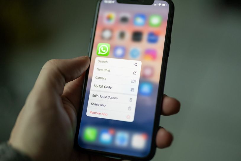 Die Fans von Budissa Bautzen können nun über Whats App mit ihren Lieblingsverein interagieren und News erhalten.