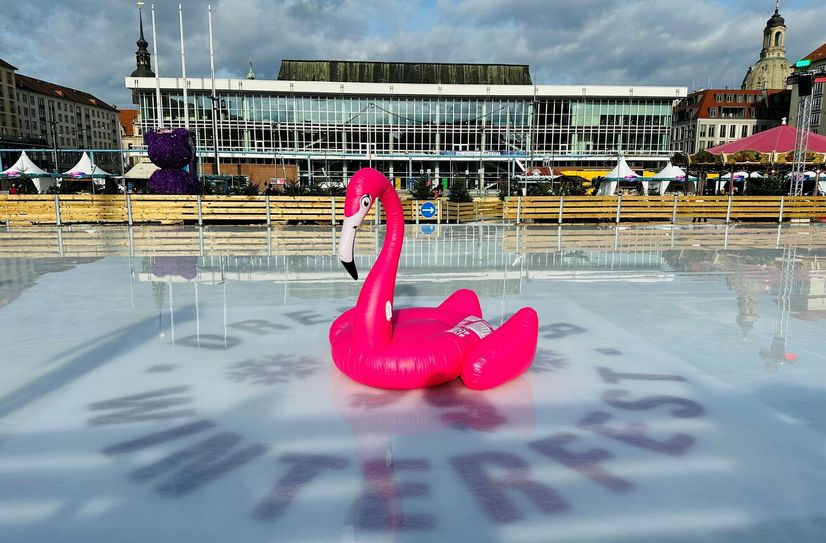 DJ löst den Flamingo ab.