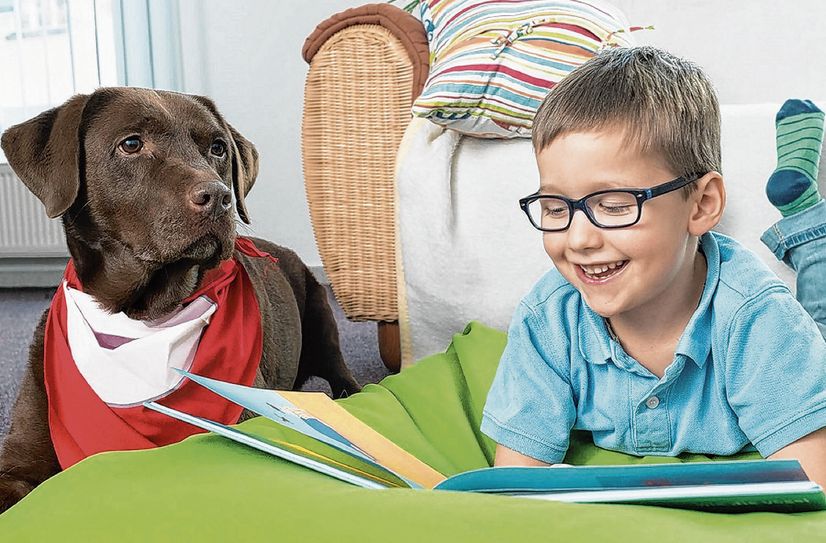 Lesehündin Luna hört aufmerksam zu, ohne zu kritisieren und hilft so Kindern, ihre Lesefähigkeiten zu verbessern.
