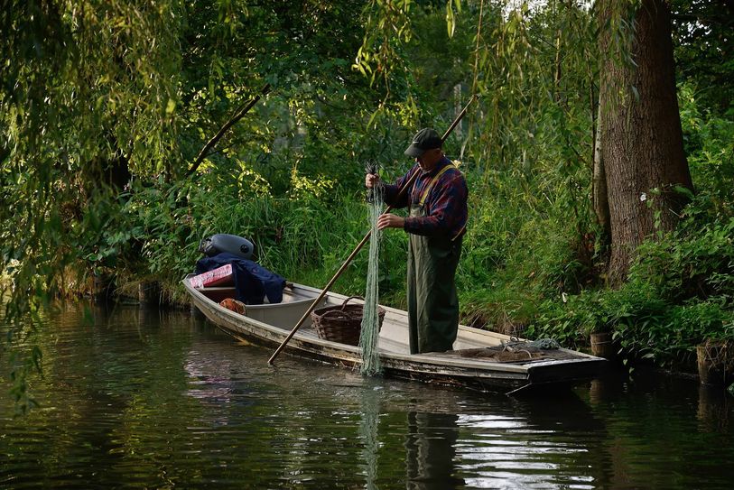 Ein Spreewaldfischer bei seiner Arbeit. Foto: Silvano Procopius/Spreewald-Touristinformation Lübbenau e.V.