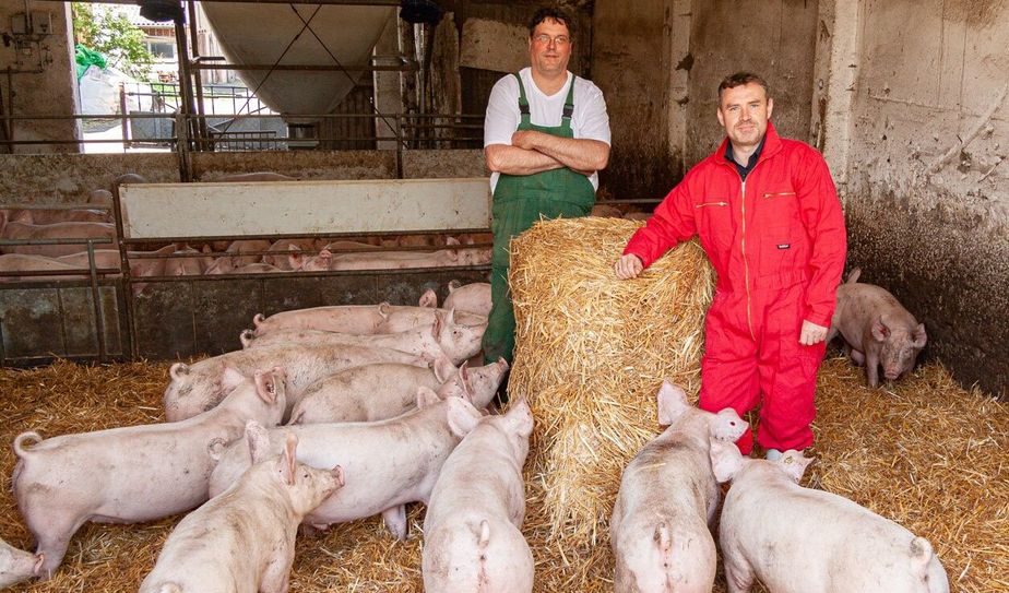 Der Schiebocker Fleischerei-Geschäftsführer Jens Mühmelt (vorn) und der Ferkelerzeuger Christian Ahrens arbeiten künftig zusammen.