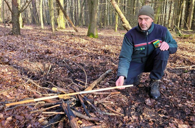 Dank der schnellen Meldung und des schnellen Eingreifens der Feuerwehren Waltersdorf, Porschdorf und Bad Schandau am Ostermontag konnte sich dieses illegale Lagerfeuer in der Nähe des Liliensteins nicht weiter im trockenen Laub ausbreiten. Jörg Roß hat mit seinen Kollegen der Nationalparkwacht in dem Bereich weitere ehemalige Feuerstellen festgestellt.