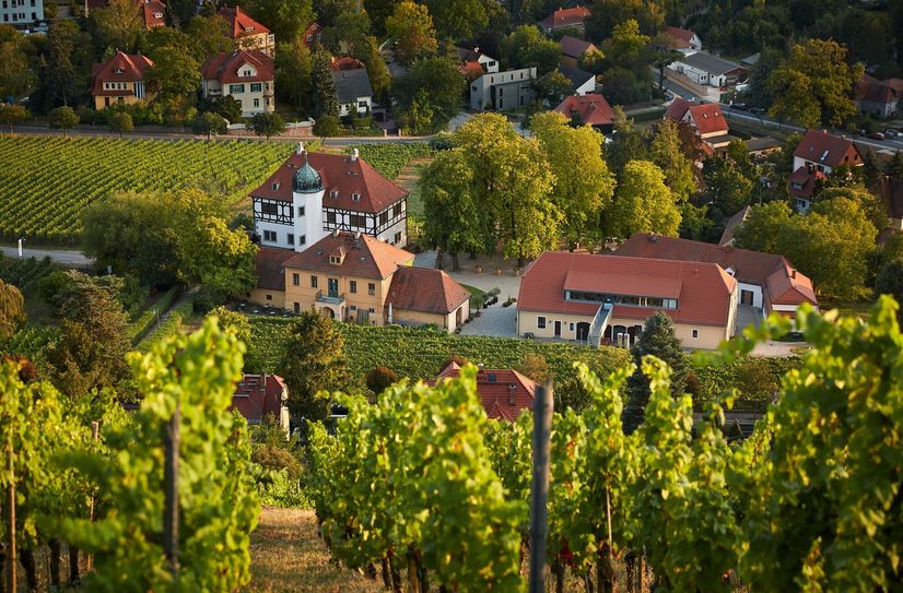 Zum Museumstag bekommen Besucher in der Hoflößnitz einiges geboten.