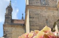 Im Meißner Dom