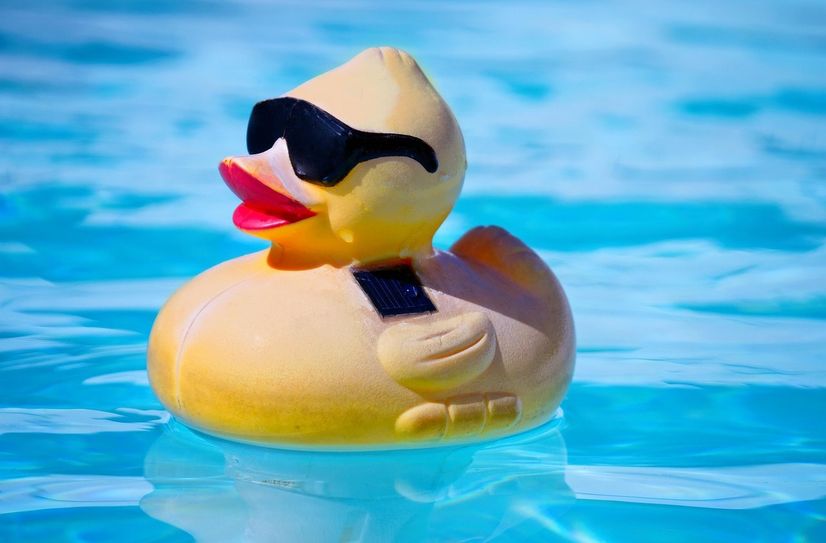 7.000 Plastikenten gehen für den guten Zweck auf die Reise.