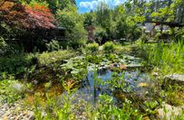 Wir haben dem Garten von Angelika und Wilfried Mätzig schon vorab einen Besuch abgestattet. Hier sehen sie einige Eindrücke.