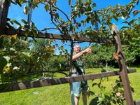 Wir haben dem Garten von Angelika und Wilfried Mätzig schon vorab einen Besuch abgestattet. Hier sehen sie einige Eindrücke.