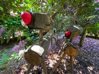 Wir haben dem Garten von Angelika und Wilfried Mätzig schon vorab einen Besuch abgestattet. Hier sehen sie einige Eindrücke.