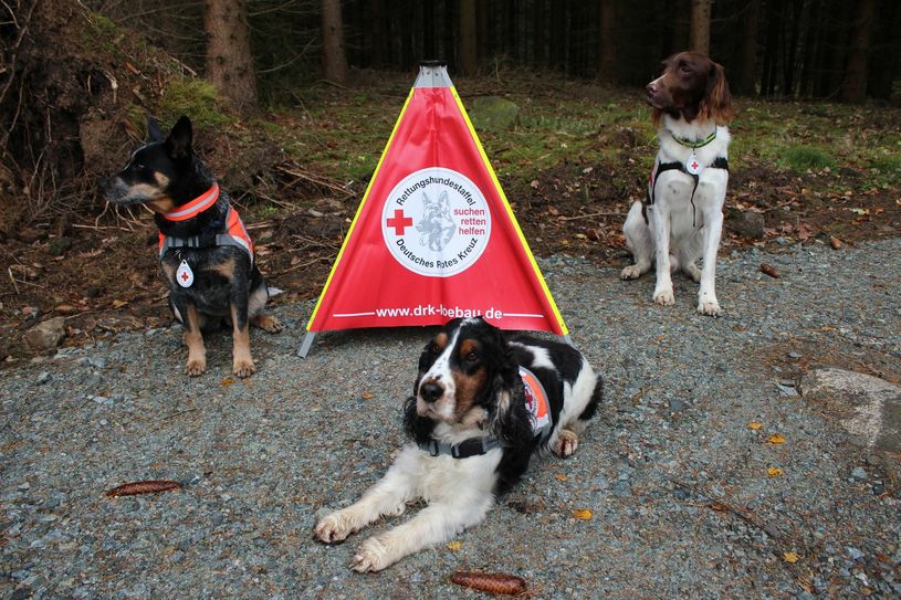 Bevor die drei in den Einsatz dürfen, steht noch ein Test, ein simulierter Ernstfall an. Das soll noch in diesem Jahr passieren. Foto: Keil
