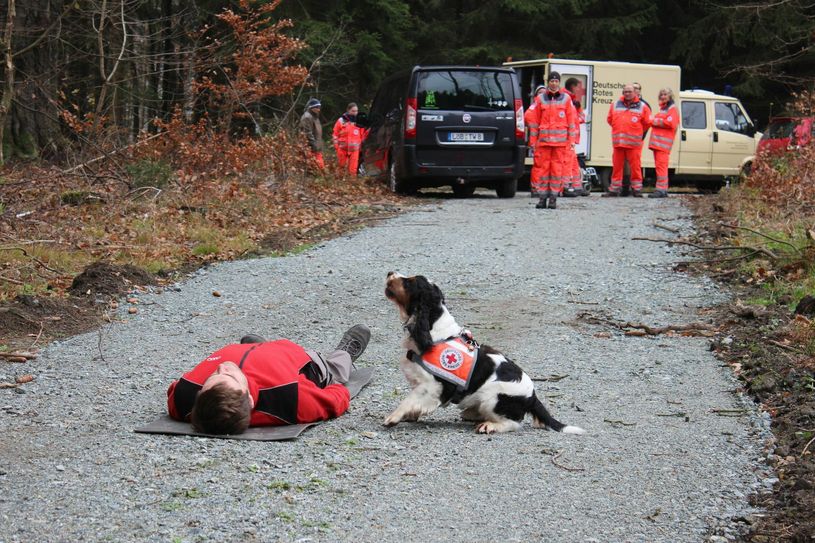 Zwei Mal pro Woche wird, wie hier in einem Waldstück nahe Kottmarsdorf, trainiert. Foto: Keil